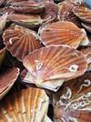 Coquilles Saint Jacques