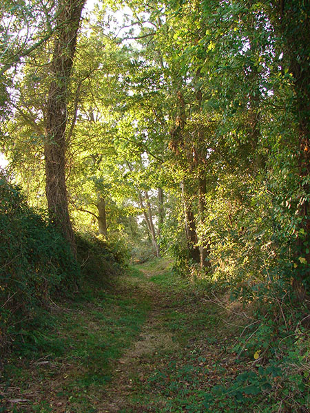 Chemin de randonnée à Cussy
